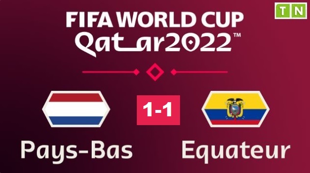 Mondial 2022 – Gr A : Pays-Bas et Equateur ont partagé l’enjeu (1-1)